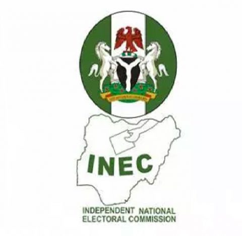 Image result for inec
